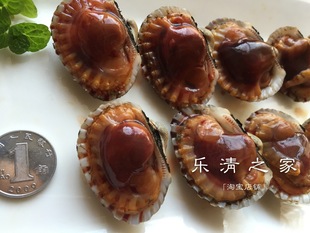 【血蛤】花蛤血蛤雪蛤温州柳市翁垟本地活蛤500克偏小 乐清之家