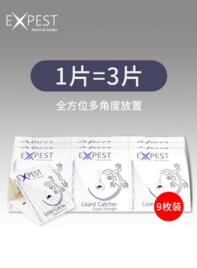 EXPEST壁虎驱赶药神器家用粘胶贴防虫克星墙壁壁虎室内强力粘板贴