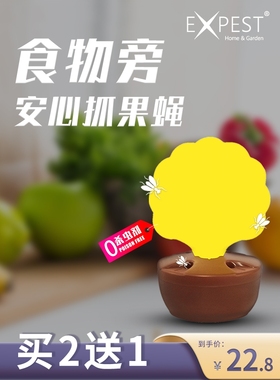 果蝇诱捕器贴果蝇贴强力粘家用EXPEST灭小飞虫神器厨房苍蝇一扫光