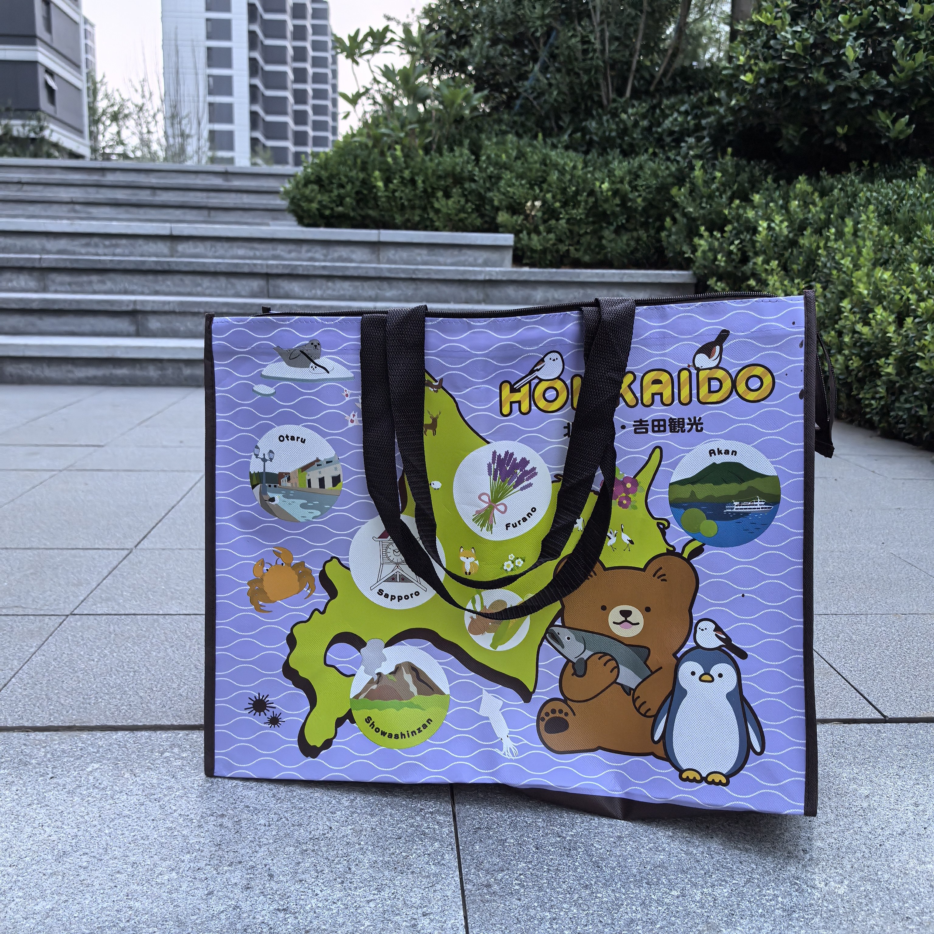 日单 带拉链超大大手提袋编织袋购物袋环保袋超市买菜收纳袋图片