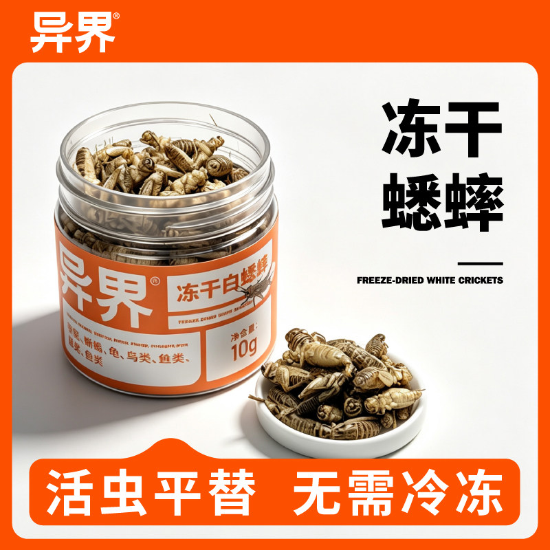 异界冻干白蟋蟀油葫芦爬虫鸣虫食物无需冷冻黑蟋蟀守宫睫角饲料