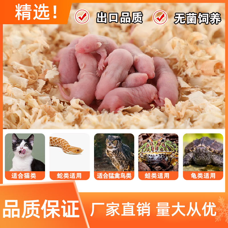 包邮活体小白鼠饲料红皮白霜睁眼活体宠物饲料猫粮开口粮宠物饲料