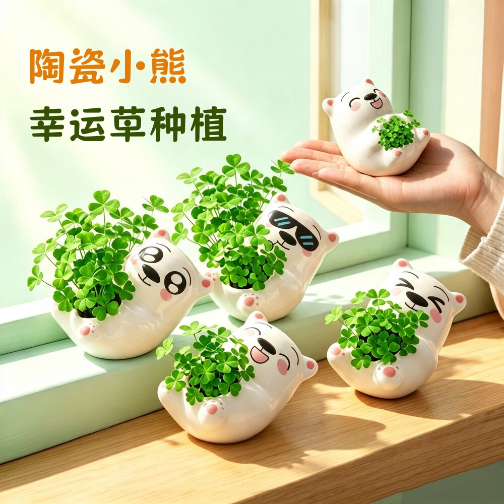 草头娃娃小熊儿童种植小盆栽头上长草幸运草种子植物桌面迷你摆件