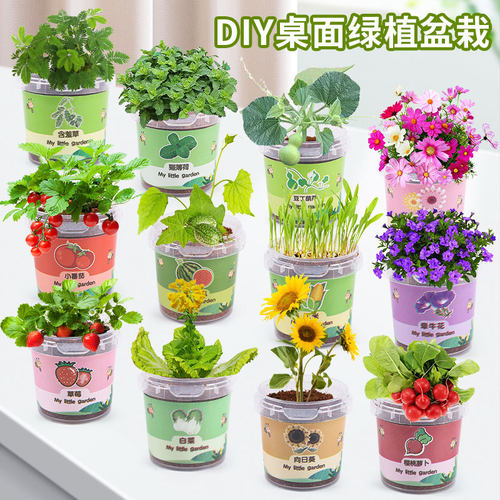 小花农创意迷你植物种子种植套装