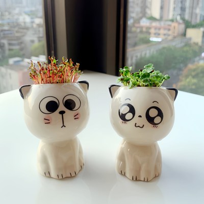 陶瓷可爱卡通草头娃娃幼儿园儿童种植小盆栽头上长草种草植物种子