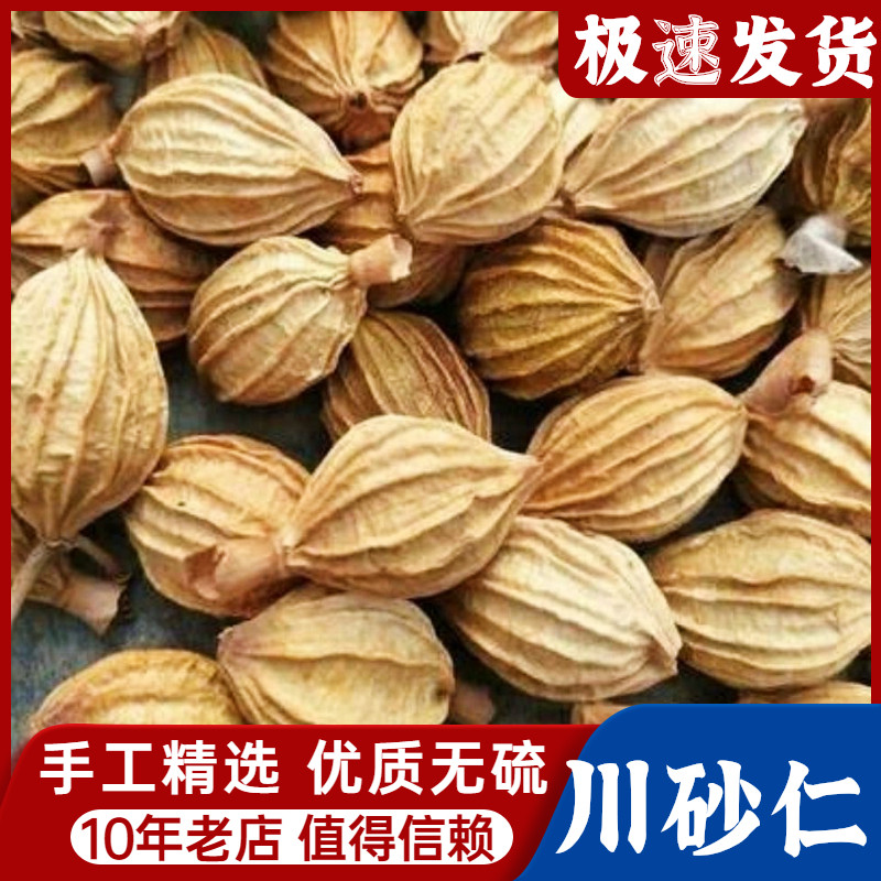 川砂仁香砂金砂仁足干本色四川特产500克火锅烧菜卤肉调味料香料