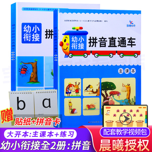 幼升小入学准备一年级拼音拼读训练学前教材字母表幼儿园测试卷同步练习册宝宝学拼音卡片 幼小衔接拼音直通车共2本 晨曦早教书