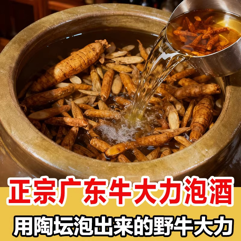 正宗阿拉善沙漠肉苁蓉泡酒