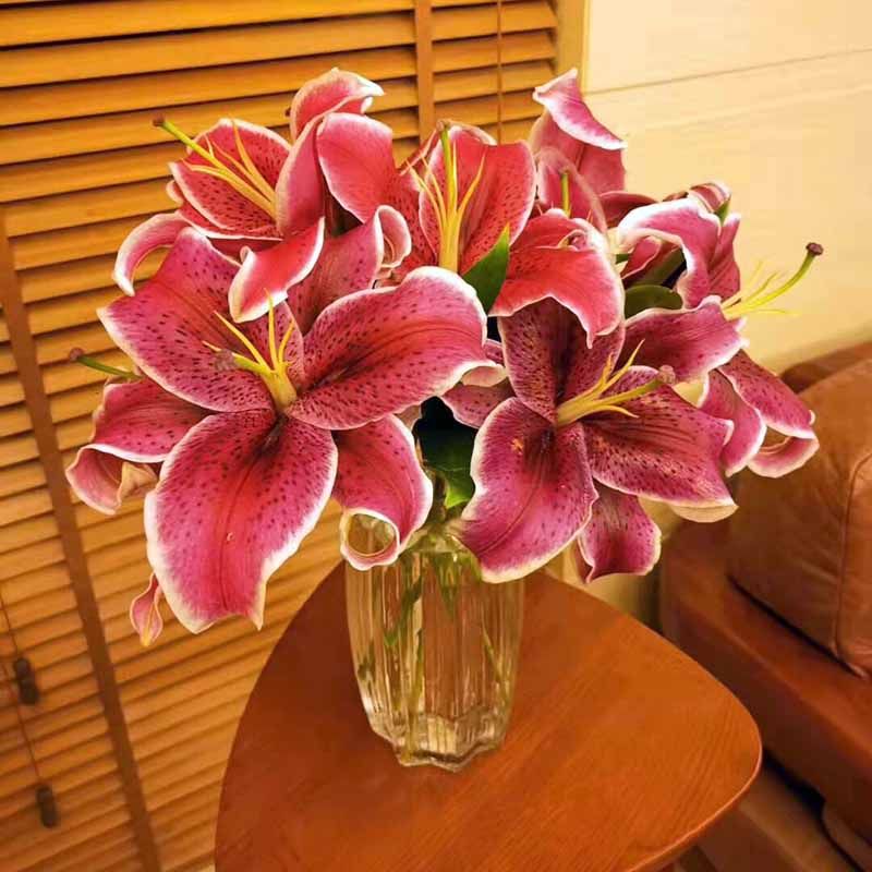 网友分享在meiguo.com的图片