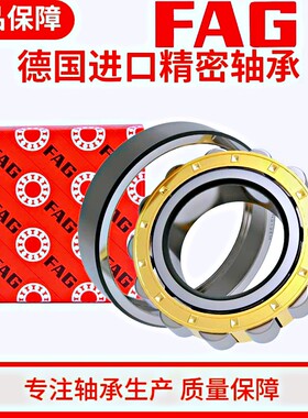 德国FAG原装进口轴承圆柱滚子N221 N222 N224 N226 N228 N230 E.M