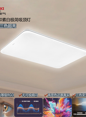 德力西极简素白MX450现代简约高亮客厅护眼吸顶灯无频闪无蓝光RG0