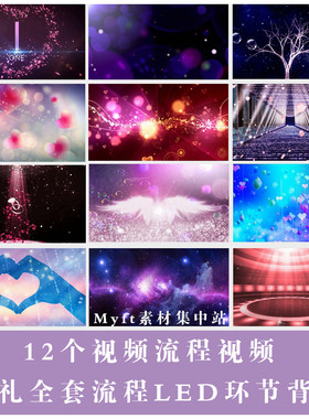 2022婚礼环节全套流程 交换戒指拥抱唯美婚庆结婚LED视频背景素材