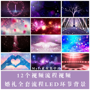 2022婚礼环节全套流程 交换戒指拥抱唯美婚庆结婚LED视频背景素材