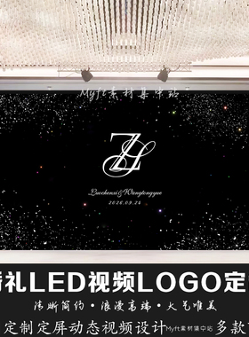 小红书婚礼黑色星星空背景定制LED大屏幕图动态LOGO设计视频制作