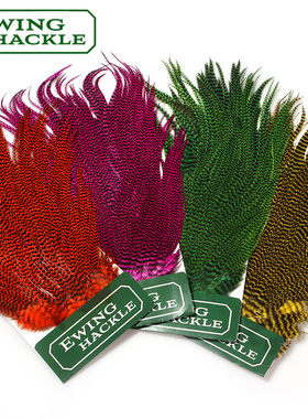 EWing蓑羽羽毛整张颈羽鞍羽干式飞蝇钩饰带海水狗鱼毛钩绑制羽毛