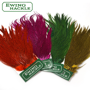 EWing蓑羽羽毛整张颈羽鞍羽干式飞蝇钩饰带海水狗鱼毛钩绑制羽毛
