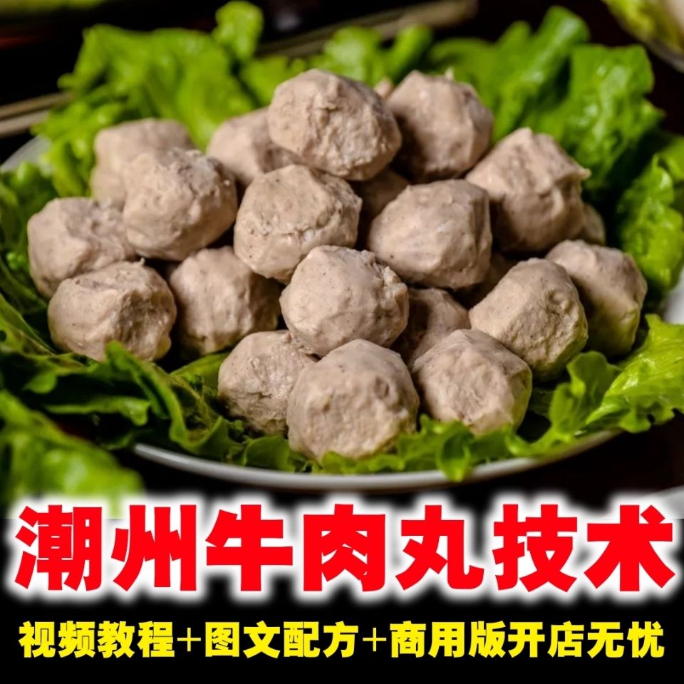 潮州牛肉丸做法技术商用网红潮汕肉饼卷丸广式牛丸影片开店创业