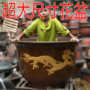 超大花盆陶瓷特大号种树龙缸铁树花盆家用庭院大型陶土大缸盆清仓