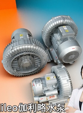 高低压250w130flj双进锅炉系统除尘离心罗茨通用风机rb鼓风机