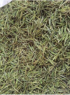 安吉白茶口粮茶高山白茶大山坞梁盛白茶明前茶2026新茶250克