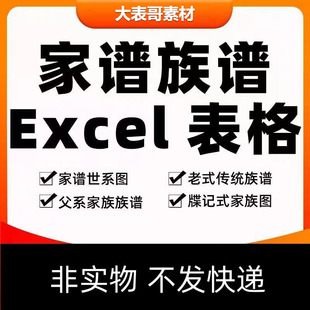 家谱族谱图电子版excel模板 家族人员登记表父系母系宝塔式世系图