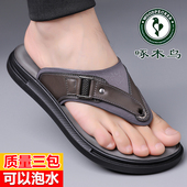 新款 透气防滑休闲沙滩鞋 凉鞋 真皮夹趾人字拖鞋 潮流 男款 啄木鸟夏季