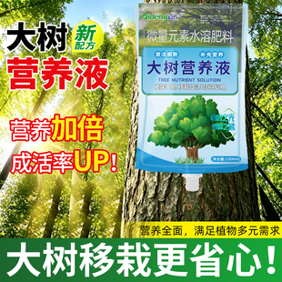 大树吊针液大树营养液果树苗木缓苗液园林移栽促活树木养护原液
