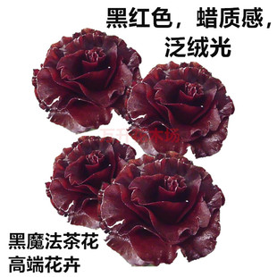 黑魔法茶花 红到发黑带蜡质感 高端名贵花卉盆栽