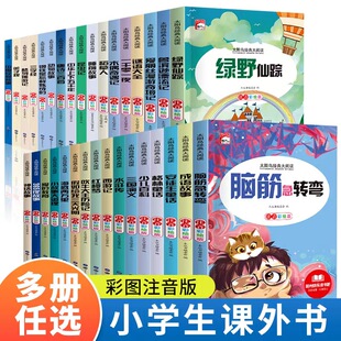 大阅读系列 太阳鸟经典 彩图注音版 脑筋急转弯安徒生童话谜语大全小故事大道理成语故事 6岁一二三年级课外阅读书籍 多册任选