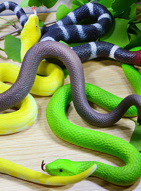 仿真软胶蛇模型儿童玩具爬行两栖动物吓人礼物黄金蟒蛇响尾眼镜蛇