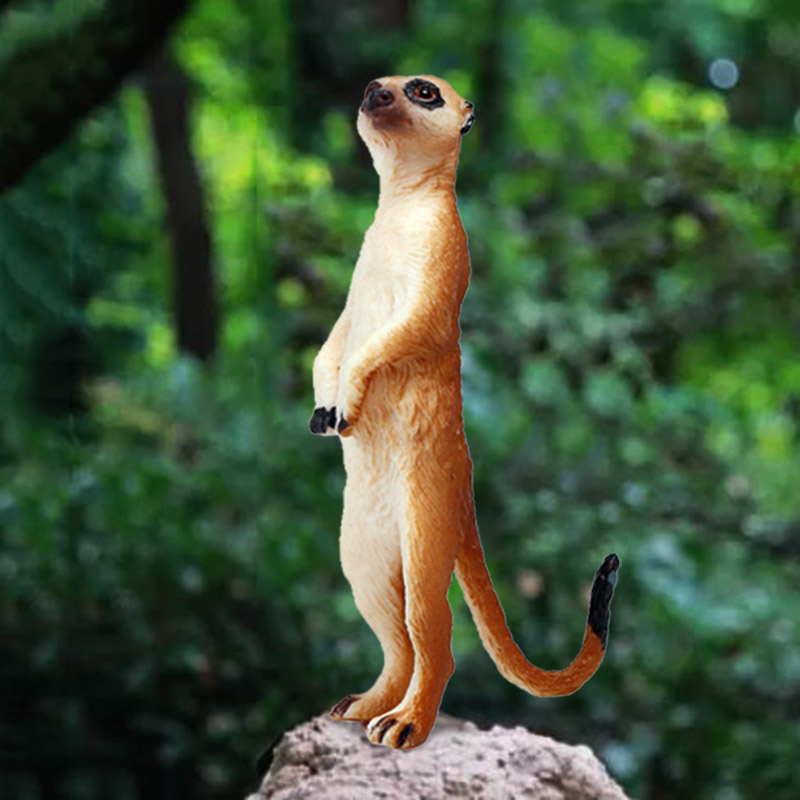 狐獴细尾獴模型松鼠狐狸猫鼬水獭花栗鼠实心小动物摆件儿童玩具