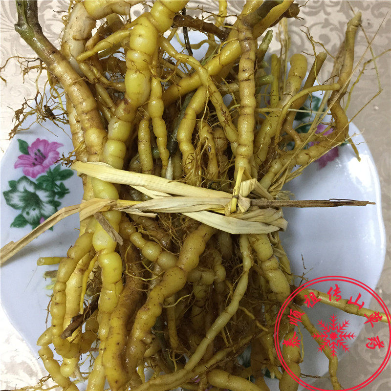 泰顺中草药野生新品药材老鼠刺虎刺绣花针白凤珠雀不踏鲜货250g