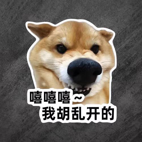 我胡乱开的柴犬搞笑抽象狗子文字表情车贴创意警示新手磁吸装饰贴
