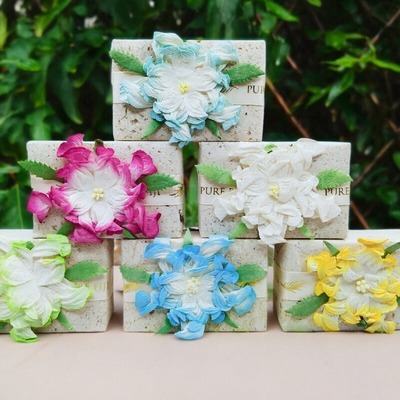 （6块装）斐济手工皂Pure Fiji礼品装花皂洁面沐浴味道混发110g*6