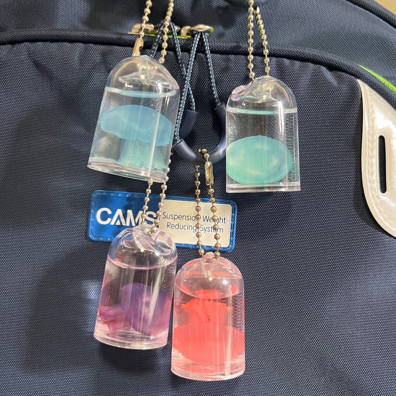 小红书创意海洋生物真水母赤月学生儿童标本随身挂件钥匙扣巴布亚