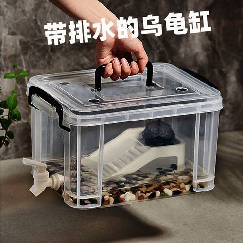 草龟幼龟专用带盖透明饲养缸