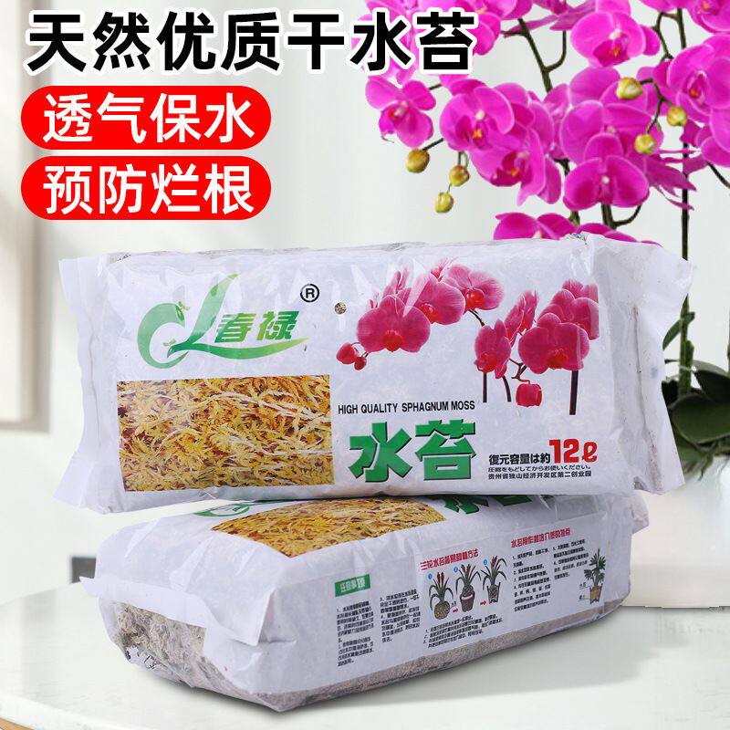 蝴蝶兰专用营养土水苔干天然保湿兰花铺面乌龟冬眠水苔藓