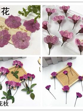 樱花花材压花干花香薰