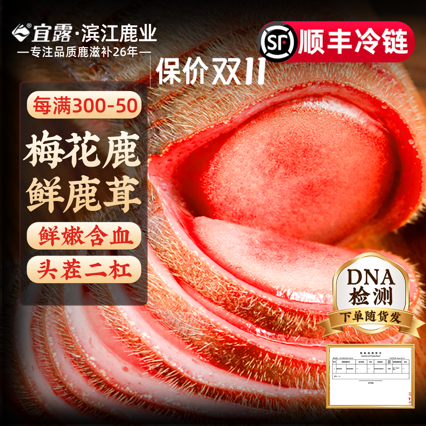 【2026现割】宜露梅花鹿鲜鹿茸