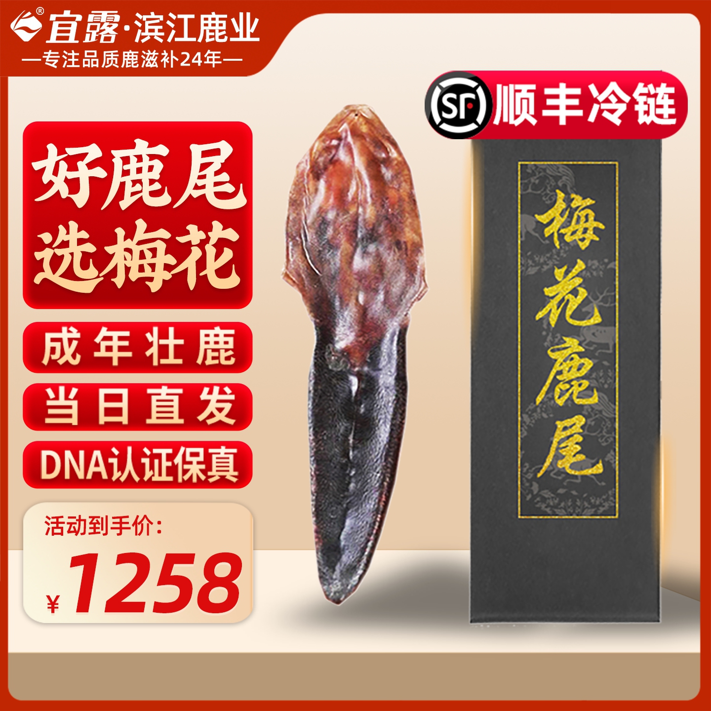 宜露梅花鹿鹿尾巴干鹿尾整枝泡酒