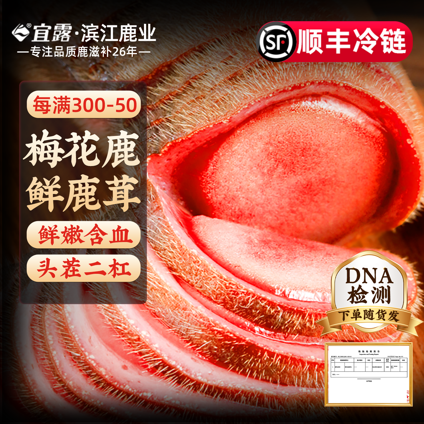【2026现割】宜露梅花鹿鲜鹿茸