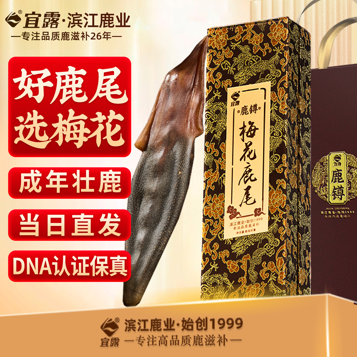 宜露梅花鹿尾壮鹿尾巴干鹿尾整只条吉林梅花鹿尾泡酒药材送礼盒