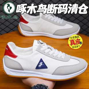 轻便软底跑步潮鞋 啄木鸟断码 休闲运动阿甘鞋 夏季 yn2 清仓2025新款