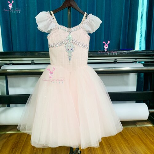 丹艺芭蕾舞服克拉拉天鹅湖晨曦公主纱裙表演比赛服演出服专业定制
