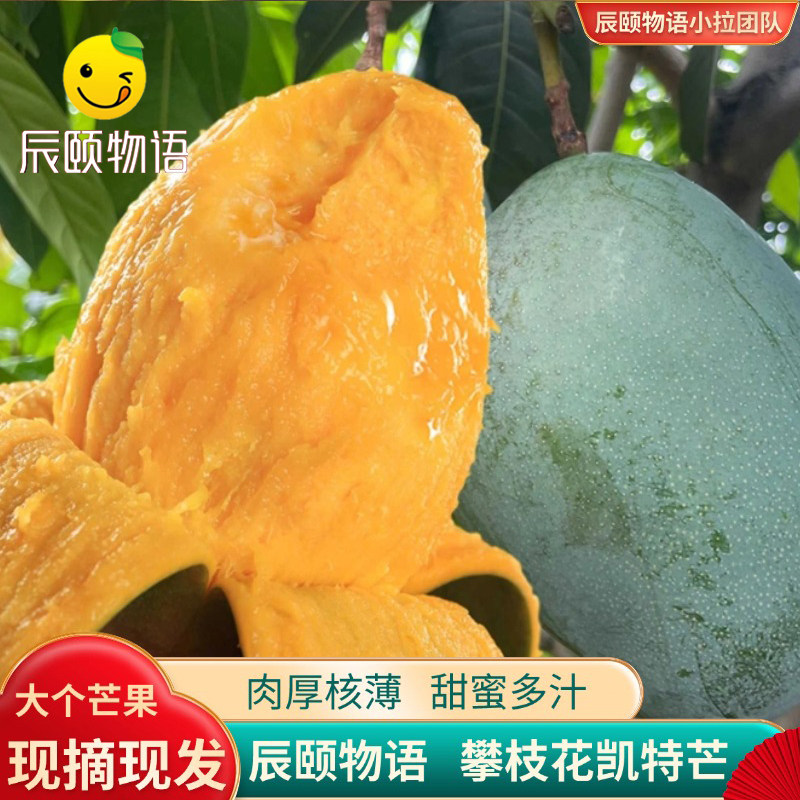 辰颐物语四川攀枝花凯特芒水果