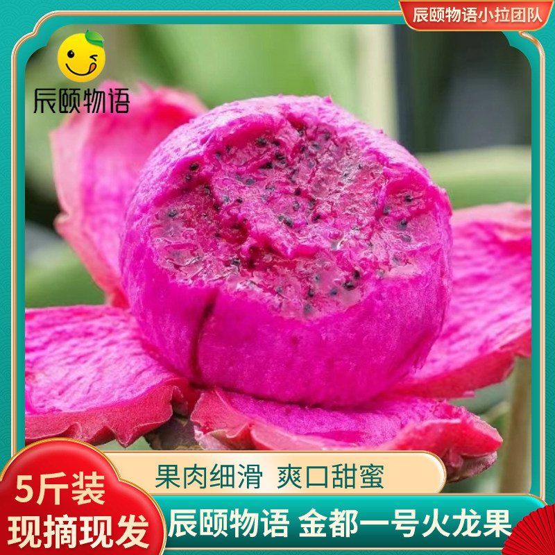 辰颐物语广西红心火龙果金都一号