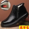 Товары от dongwei2599