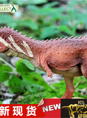 COLLECTA我你他 恐龙模型玩具 2019食肉牛龙 88842 全新现货