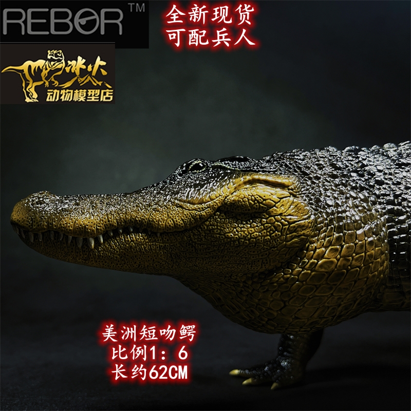 REBOR2023新野生动物 美洲短吻鳄男女孩成人模型玩具包邮热销现货 玩具/童车/益智/积木/模型 仿真/动物玩偶 原图主图