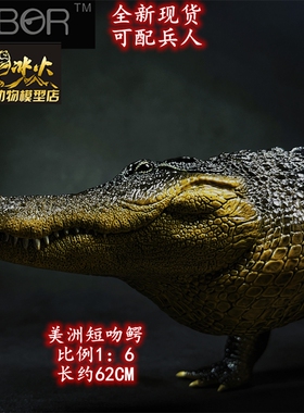 REBOR2023新野生动物 美洲短吻鳄男女孩成人模型玩具包邮热销现货